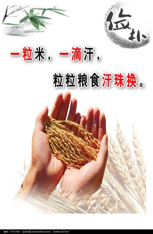 不动产权利人证件号是什么